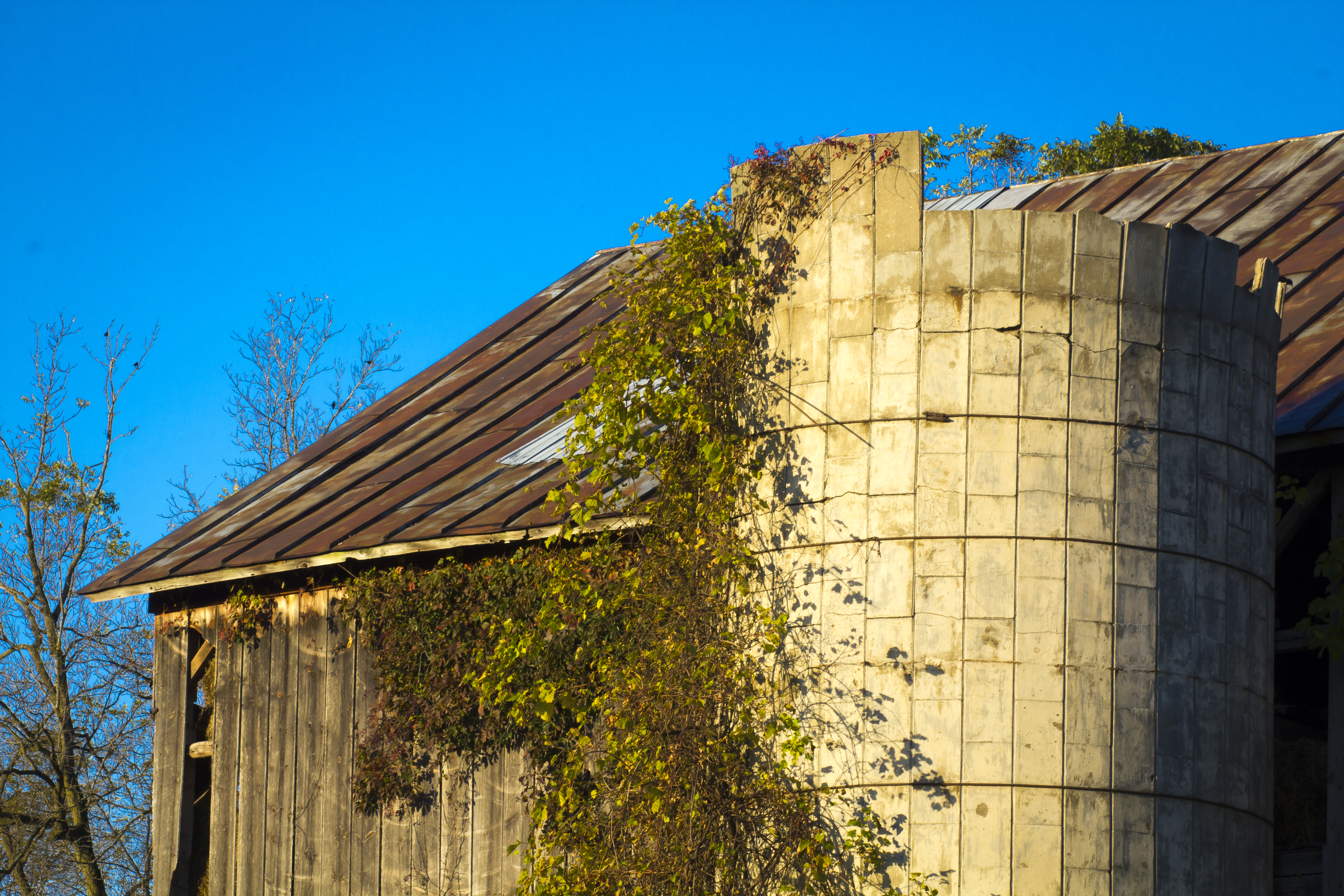 2 Mile Barn