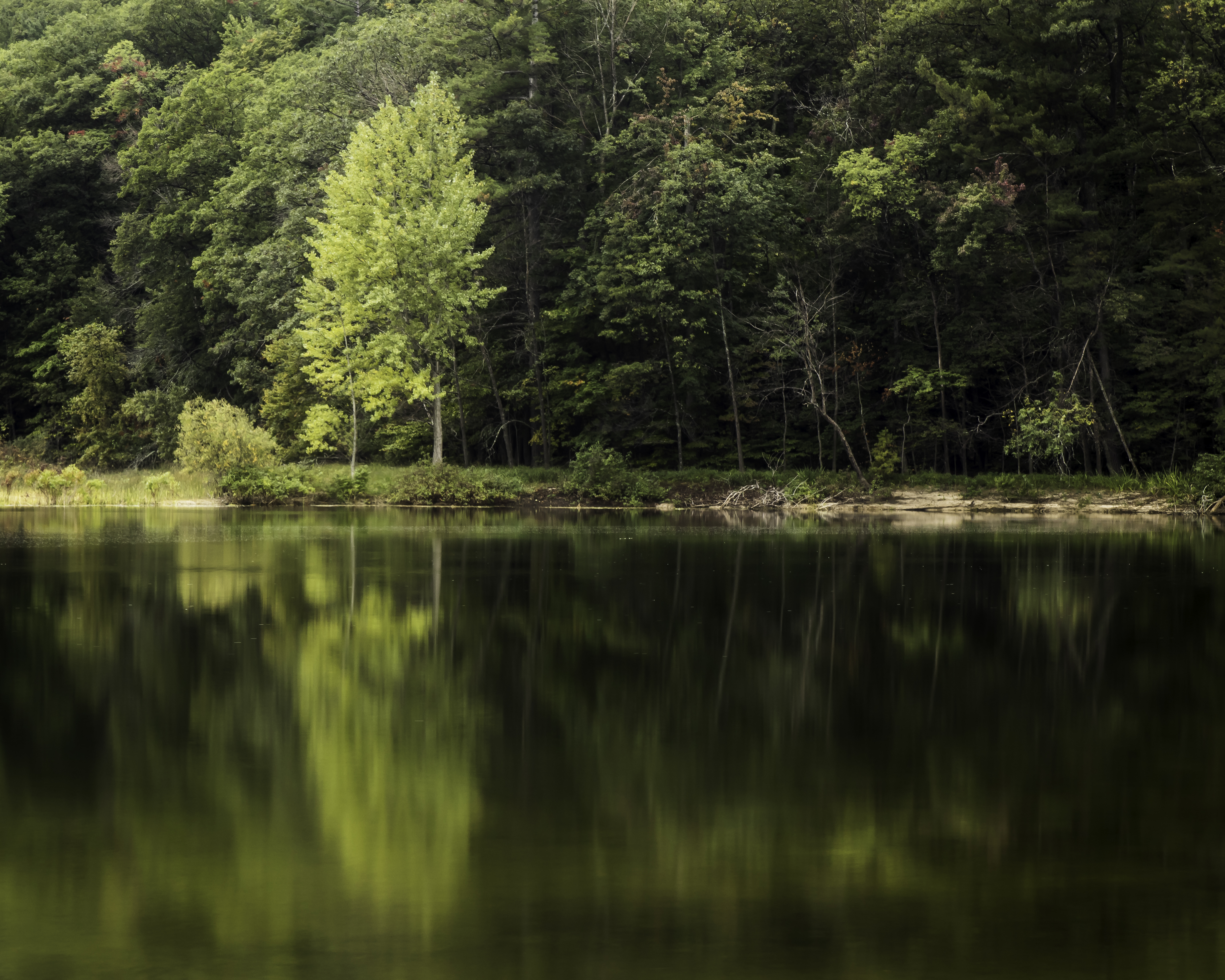 Bass Lake reflection