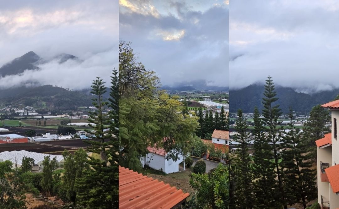 constanza