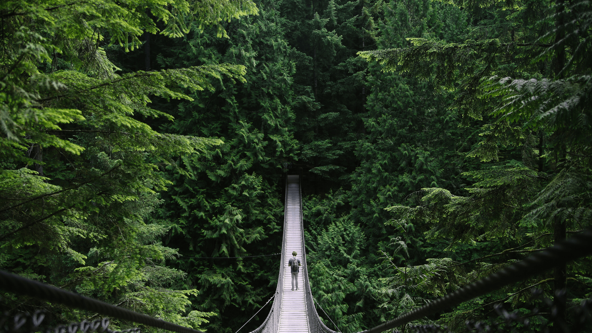 Explore ideas of fun things to do in sobriety