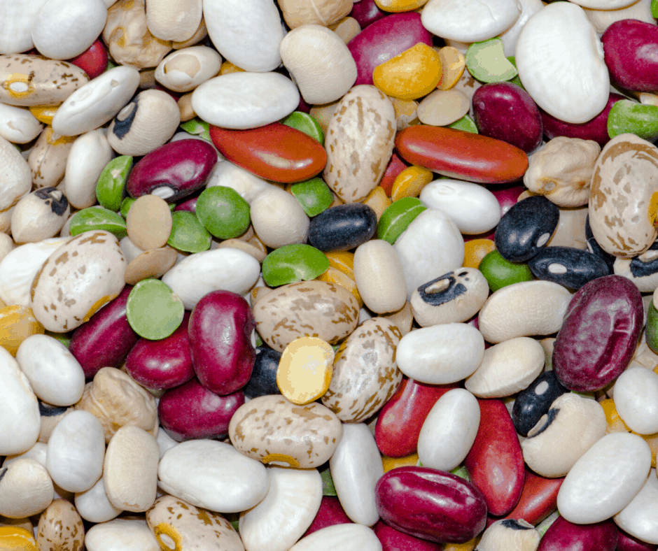 Mediterranean Diet