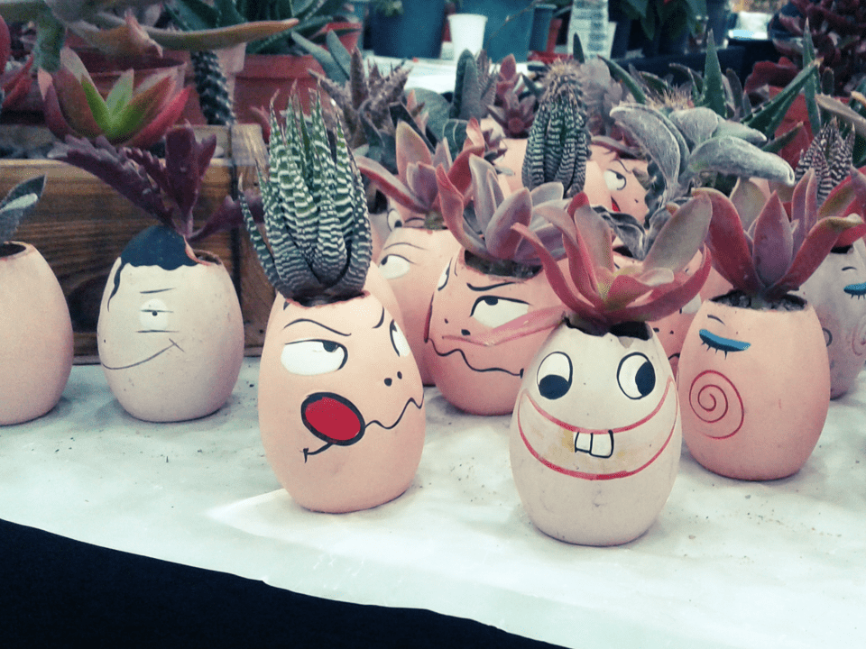 Little pots by Bazaar participants