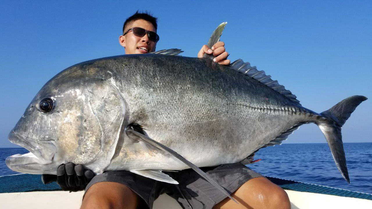 海外からの英語などでのご注文も可能です Re Fish デジタル魚拓サービス リフィッシュ