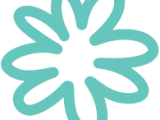 Home Reach Therapy Services