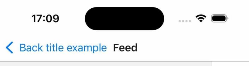 Navigator Screenoptions Headerbacktitlevisible False Is Ignored On - Best Colorful Illustrations in Desktop