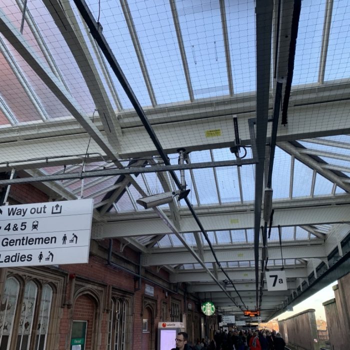 Bird Netting on Platform