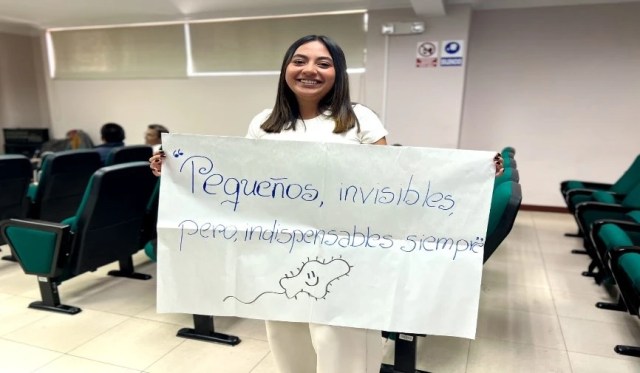 actividades