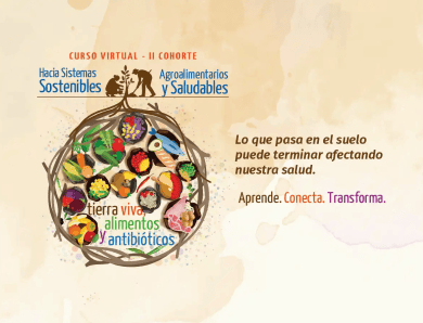 II Cohorte | Curso virtual «Hacia sistemas agroalimentarios sostenibles y saludables»