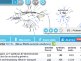 Reactomegsa Comparative Multi Omics Pathway Analyses