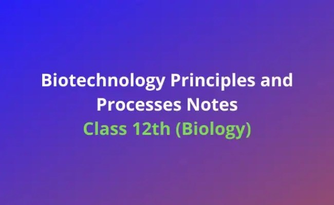 Biotechnology Principles And Processes Class 12 Biology Chapter 11 ...