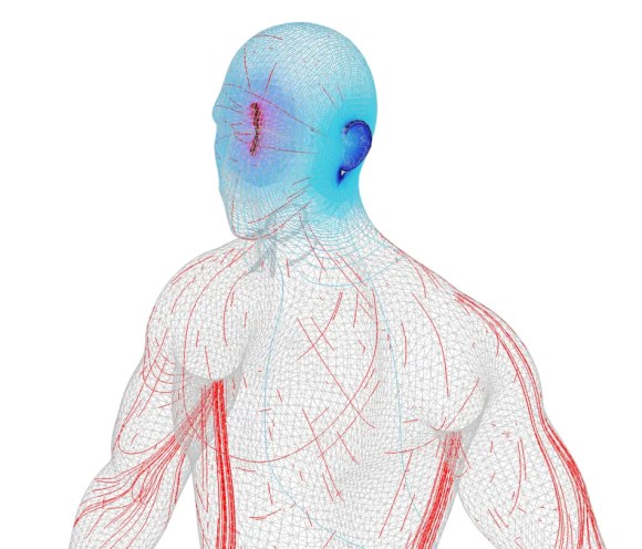 human mesh