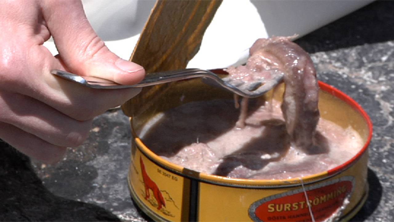 Surstromming: The most stink food in the world – Readingdom
