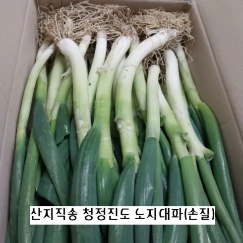 만족도 최고 양대파 비교분석