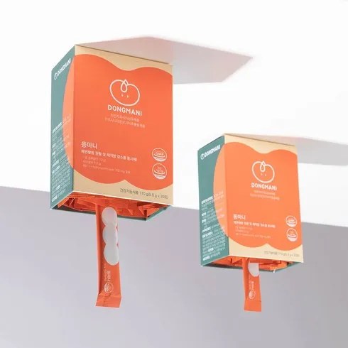 실사용 리뷰 차전차피 비교분석