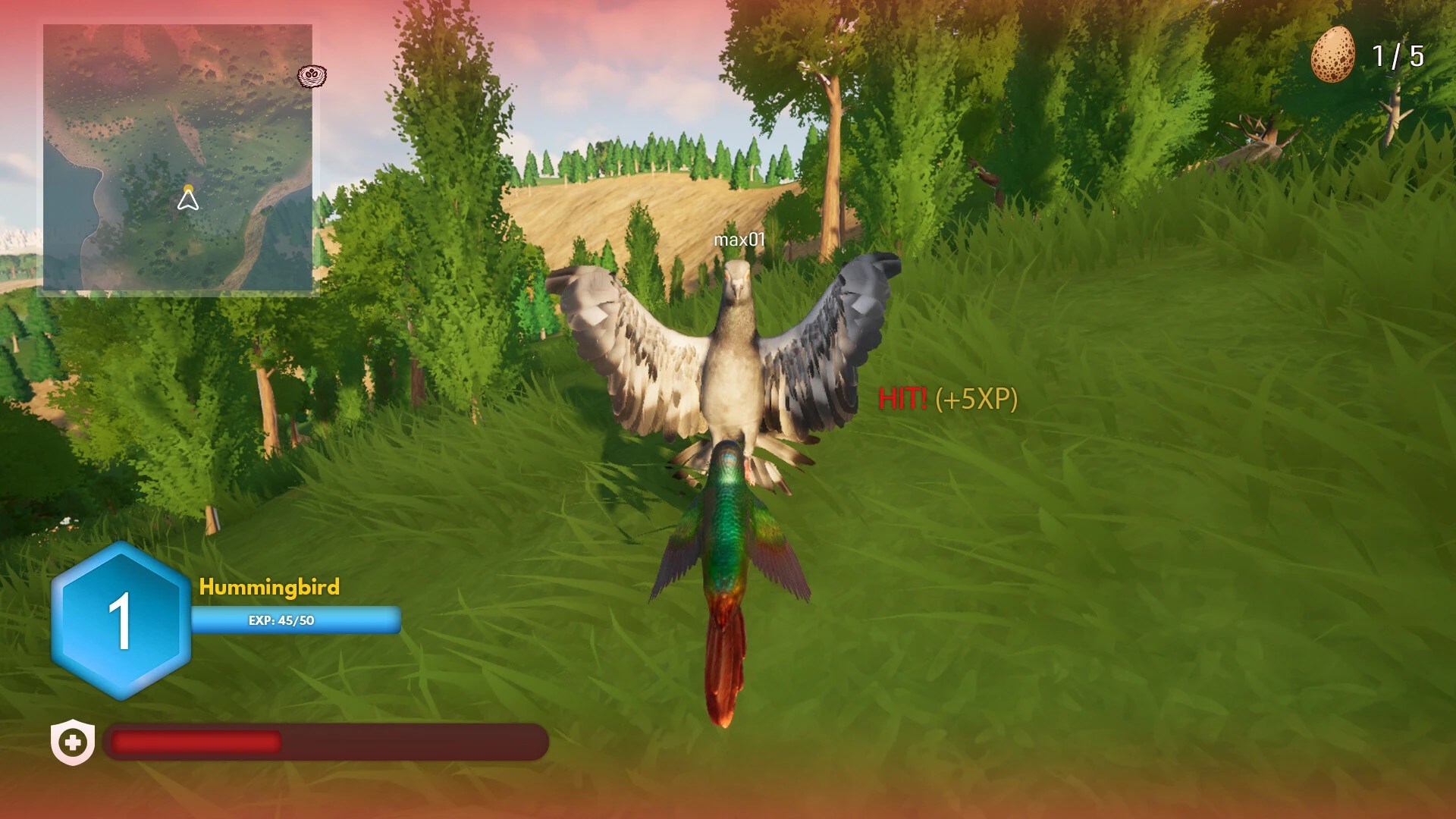 Bird Game Image2.webp