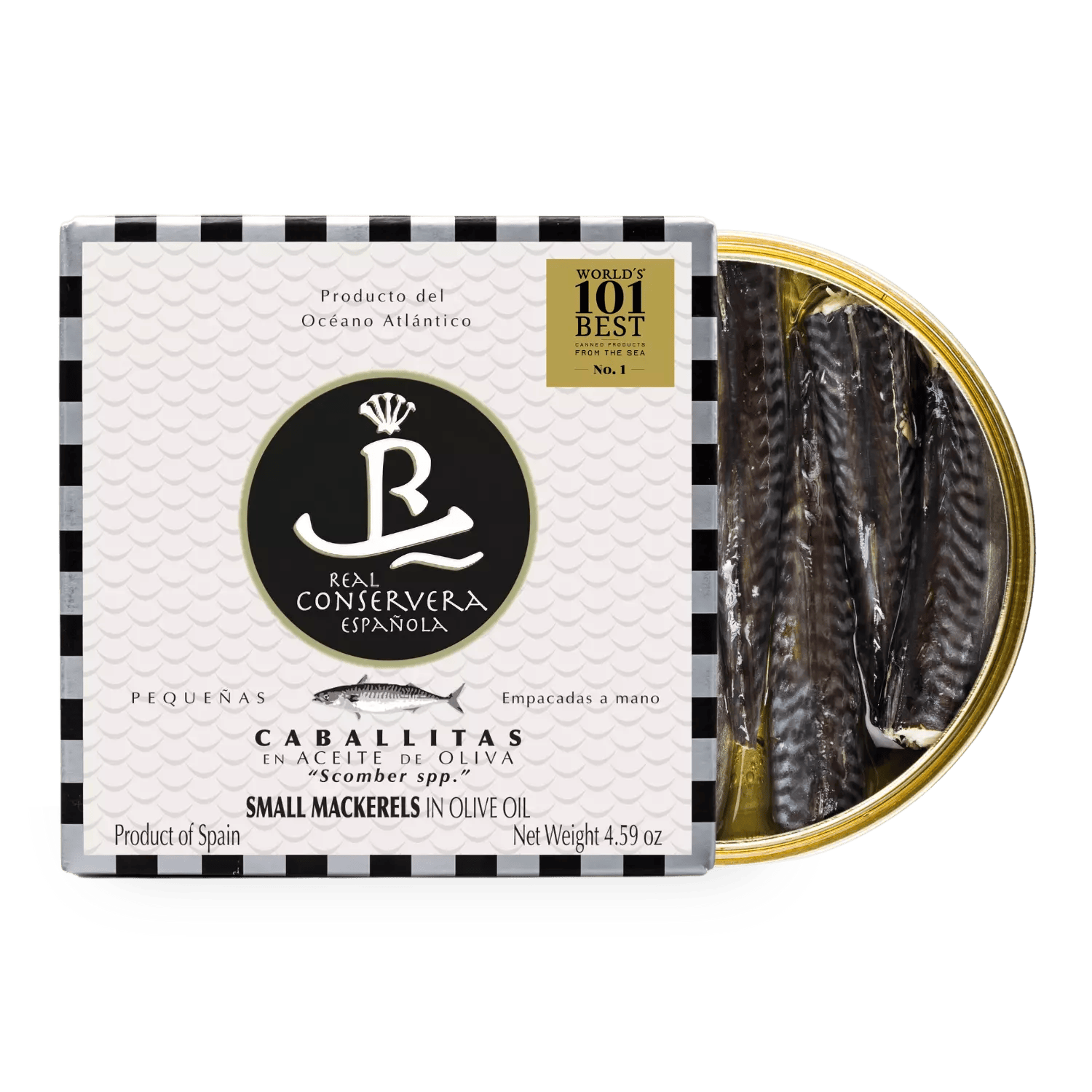 Caballita en Aceite de Oliva