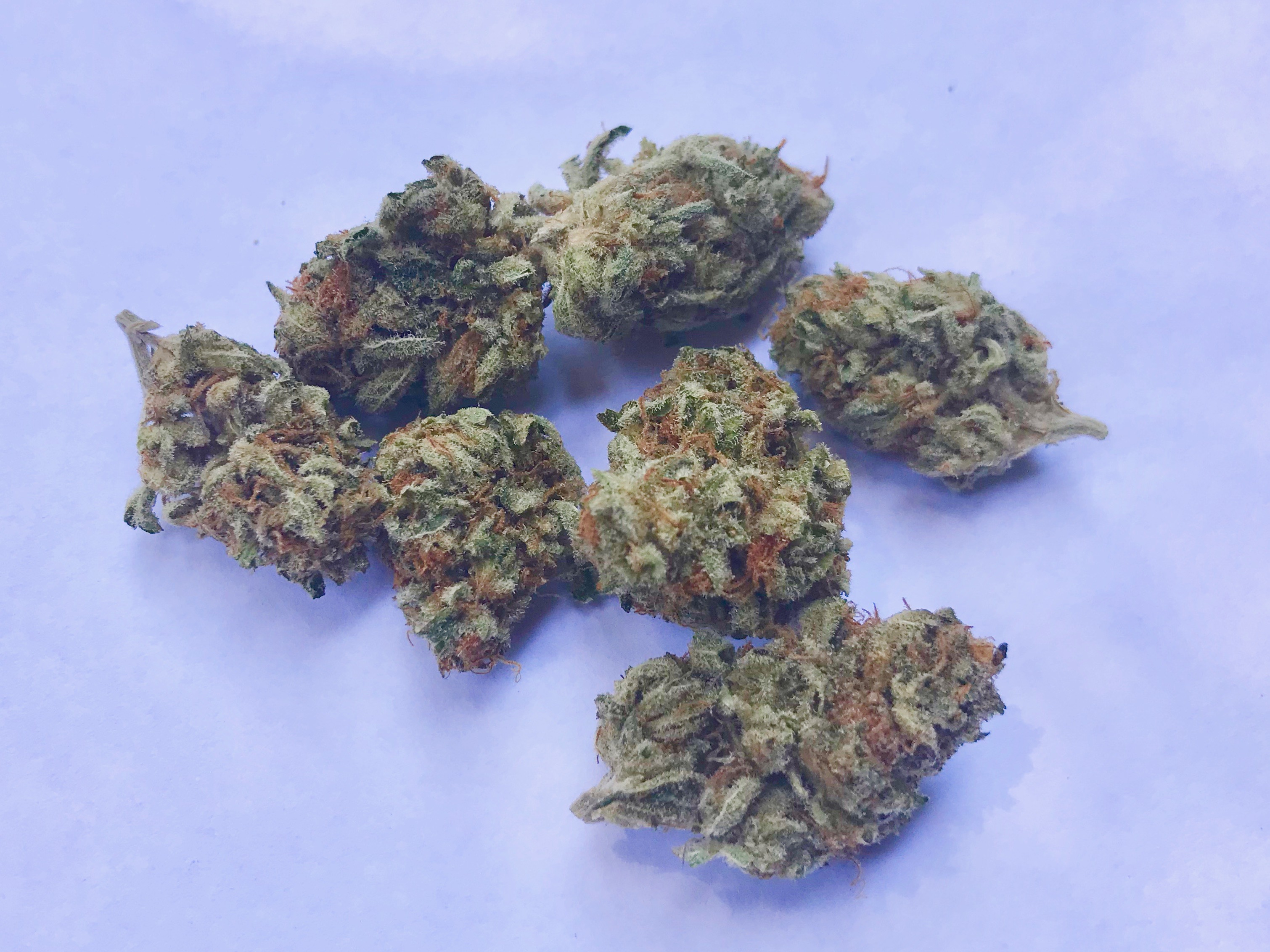 Peanut Butter Pie Strain Review Real. Functional.