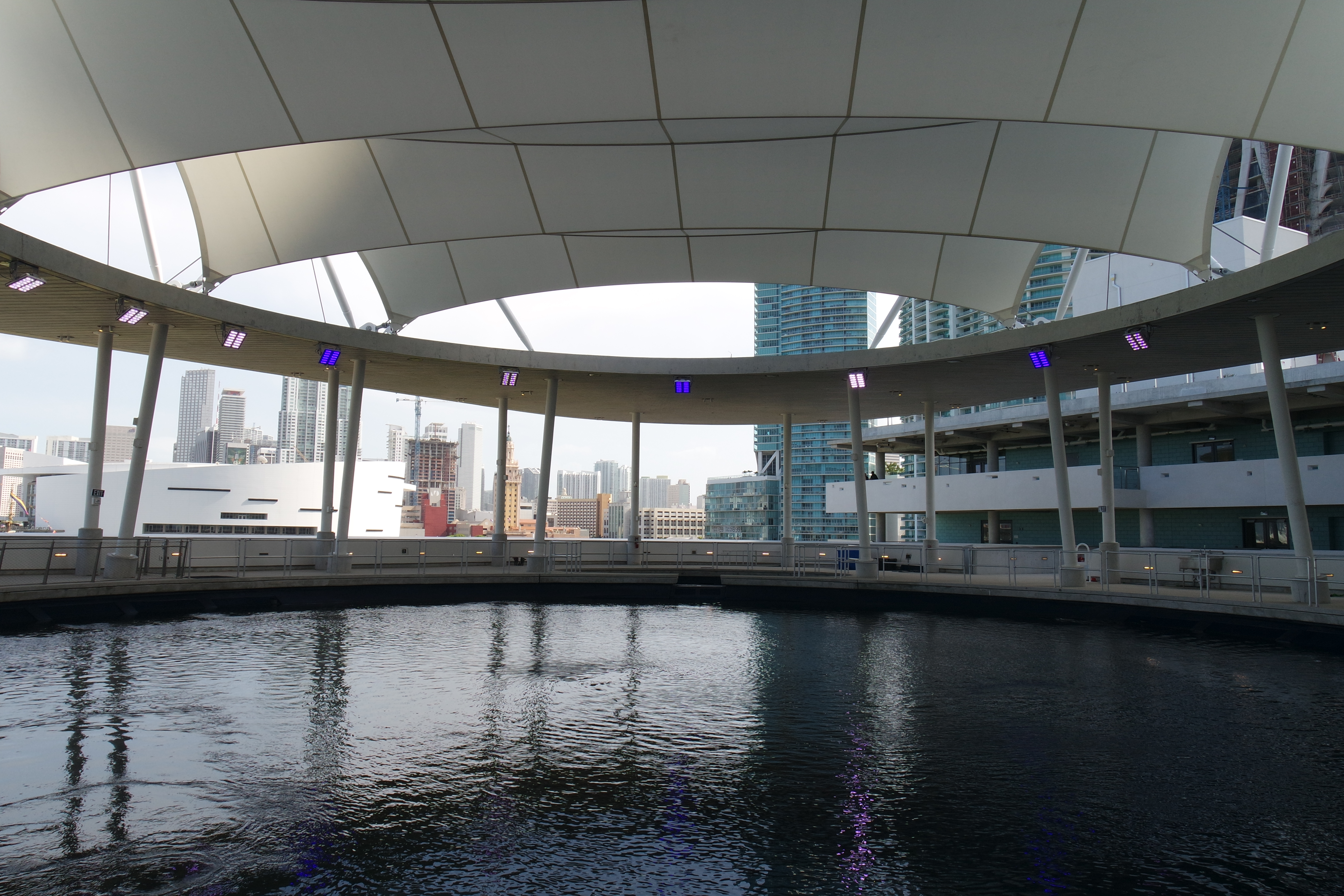 Top of the aquarium on the 4th floor