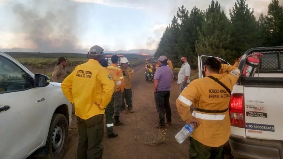 Brigadistas controlan nueve incendios forestales en Neuquén, pero persisten focos activos en Aluminé y Loncopué