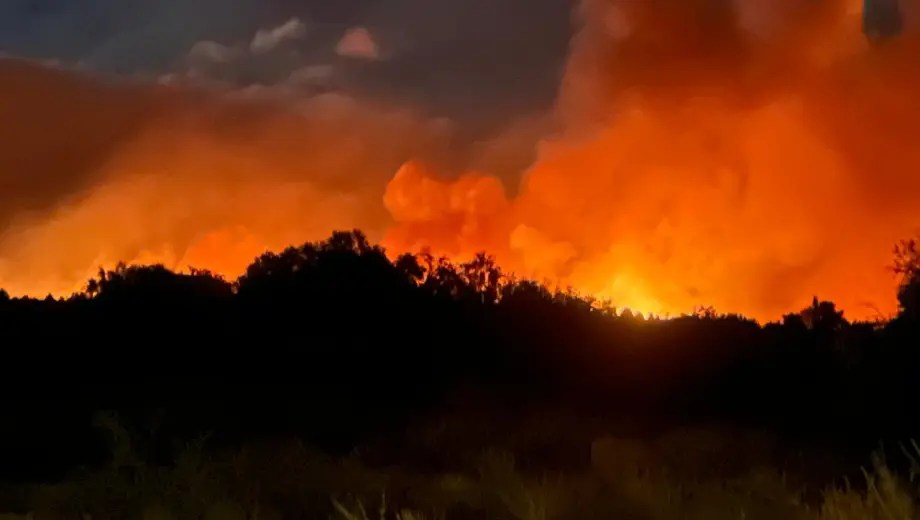 Cómo afecta el cambio climático en los cada vez más frecuentes incendios de la Patagonia