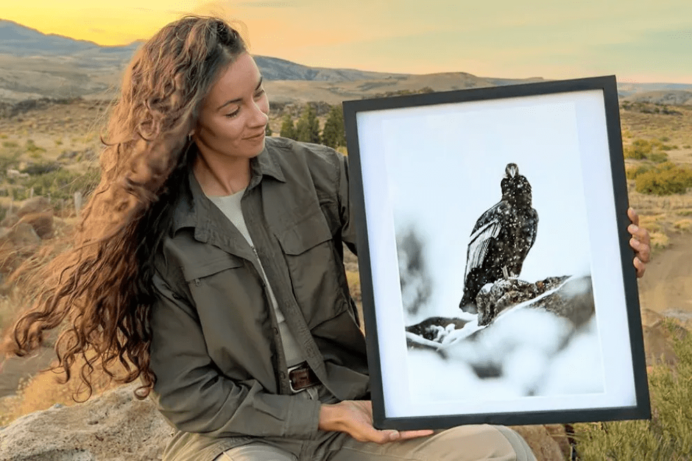 Imagen de la noticia "La muestra fotográfica con la que Celeste Poggi invita a descubrir el mundo del cóndor" publicada por realidadsm.com