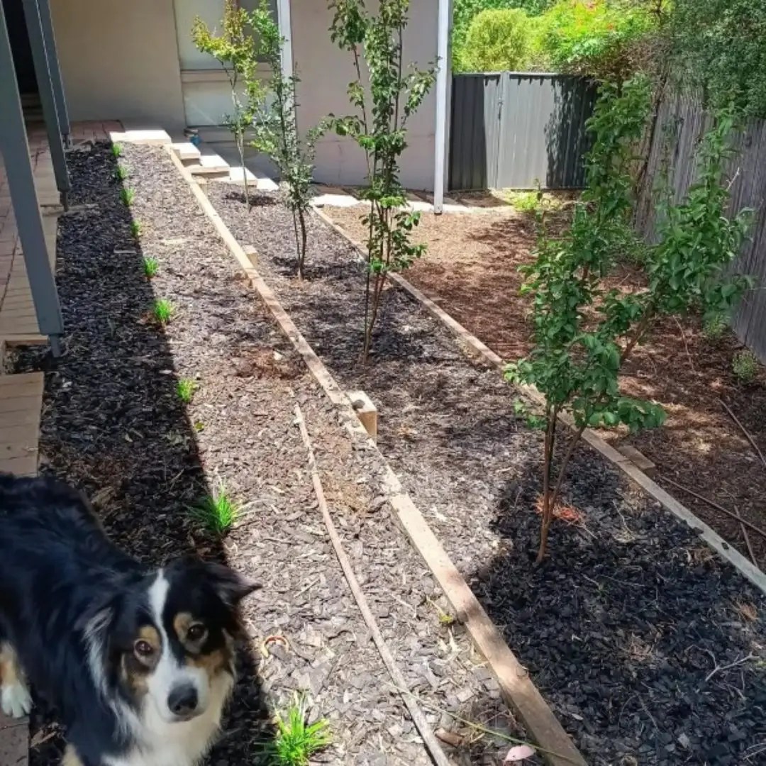 Canberra Landscaping