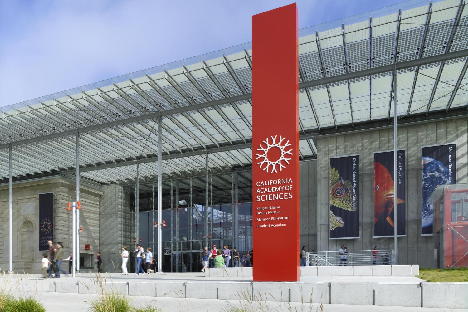 Field Trip: California Academy of Sciences