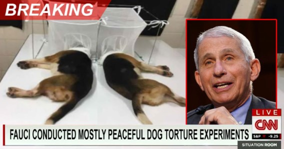 #ArrestFauci  #PuppyKILLER