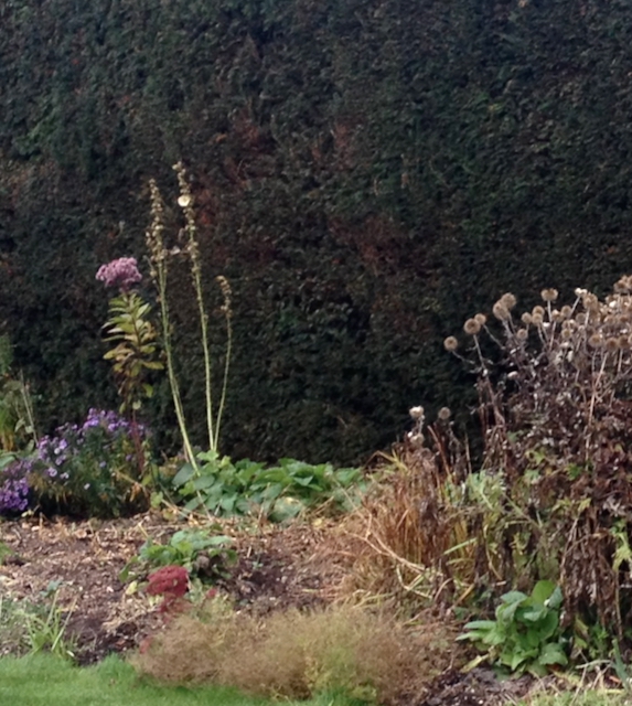 Illustrates poem about a garden