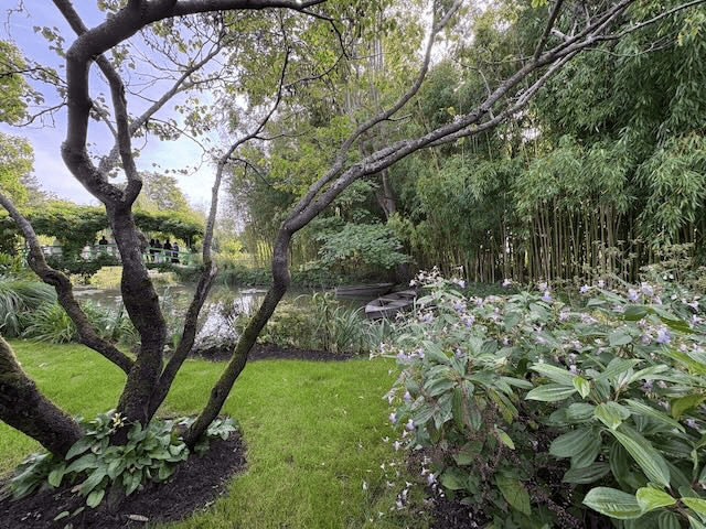 A good thing to see - Monet's Water Lily Pond