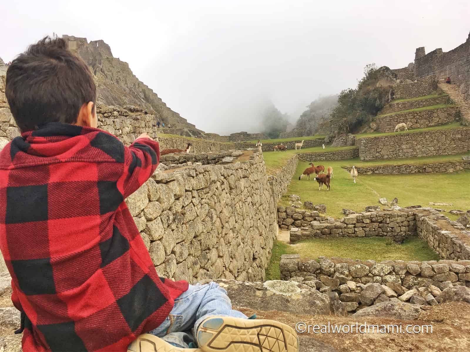 Machupicchu Kids