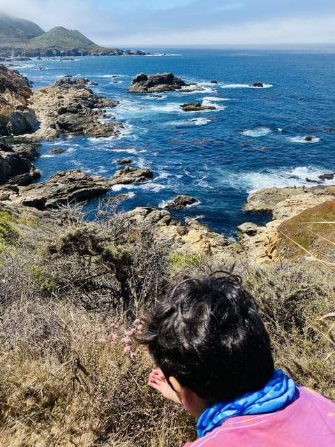 Big Sur with kids