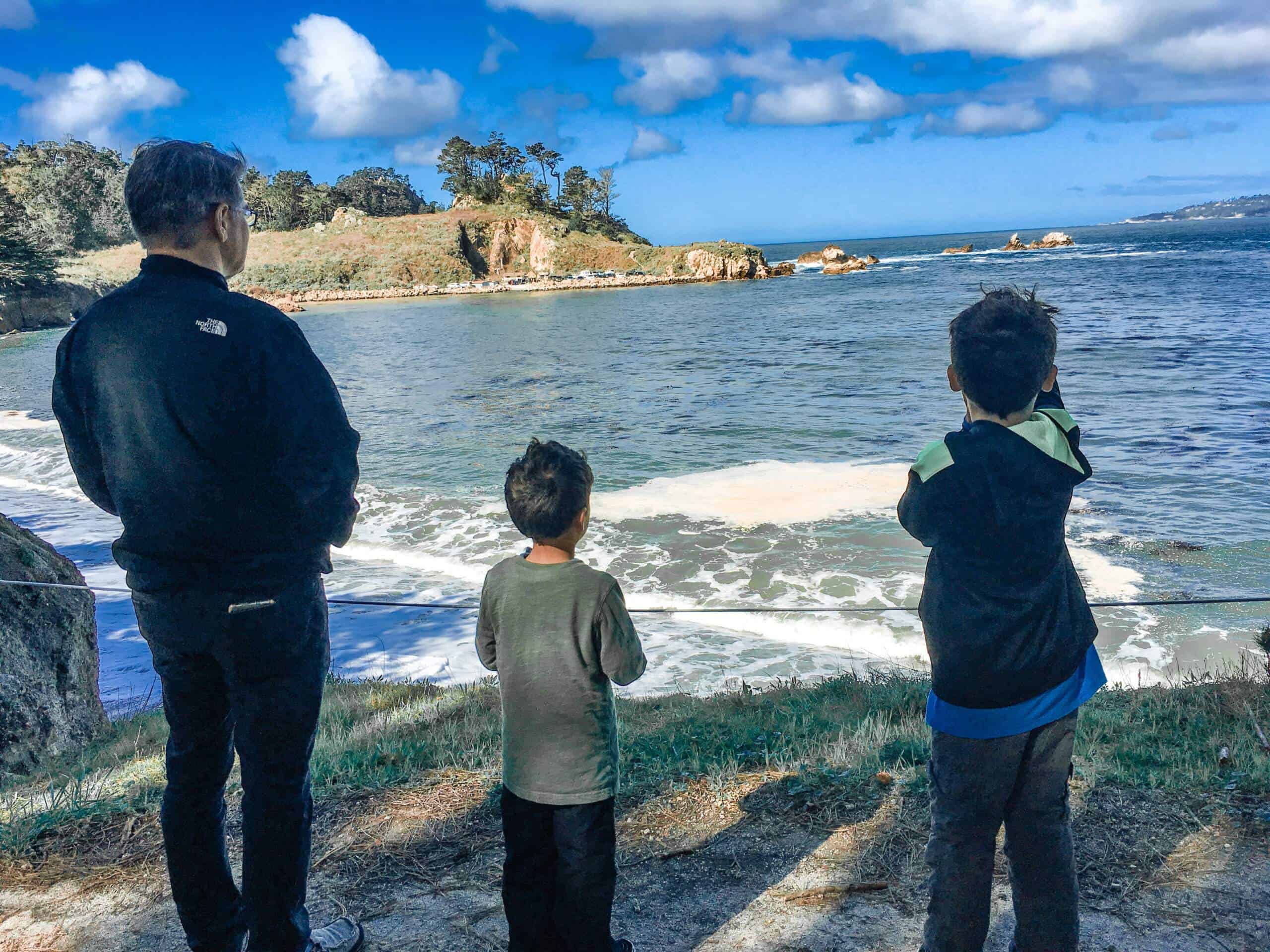 Point Lobos Hiking Guide for Beginners: the 8 Easier Hikes You Need to Know