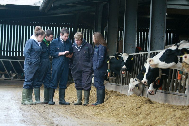 Our Future Reaseheath 100 - Light Photo Collection - 4K Quality