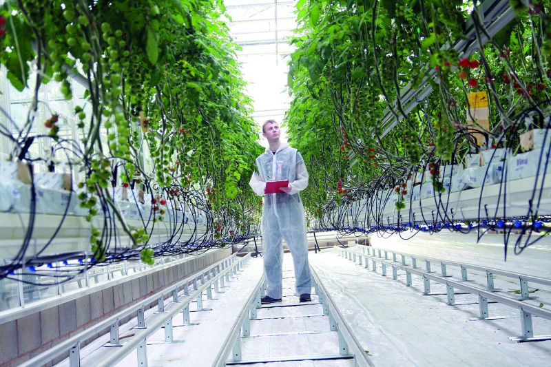 Our Future Reaseheath 100 - Stunning Vintage Background - Retina