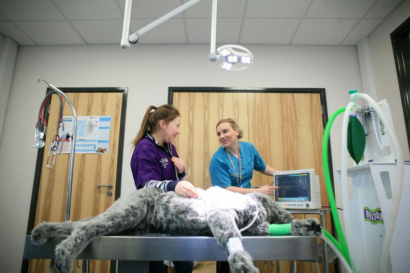 Our Future Reaseheath 100 - Download Professional Light Texture | HD