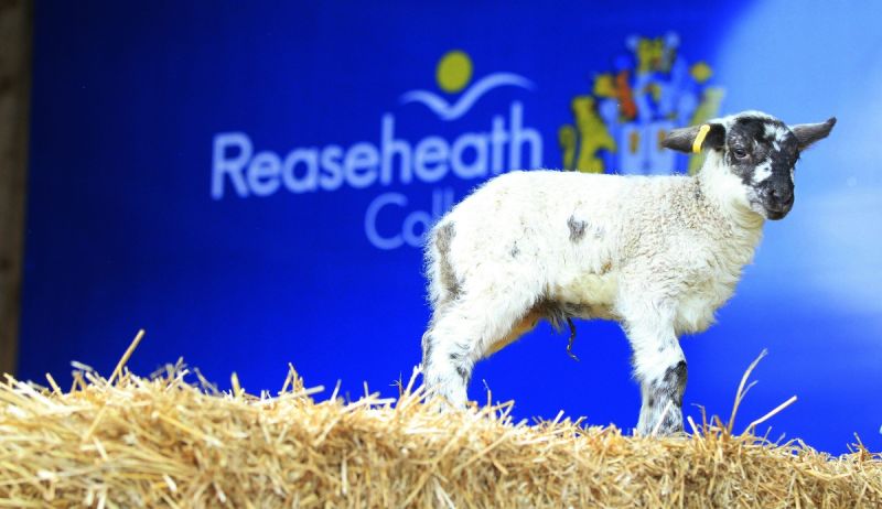 Reaseheath College On Linkedin We Are Delighted To Be Celebrating 100 Years Of Reaseheath At Our - Minimal Patterns - Elegant Retina Collection