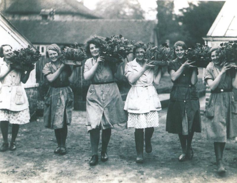 94 Year Old Peter Shares His Reaseheath Story Reaseheath 100 - Premium Nature Background Gallery - 8K