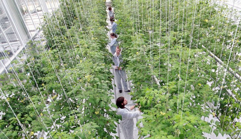 Facilities And Trials Reaseheath Business Hub - High Resolution City Wallpapers for Desktop