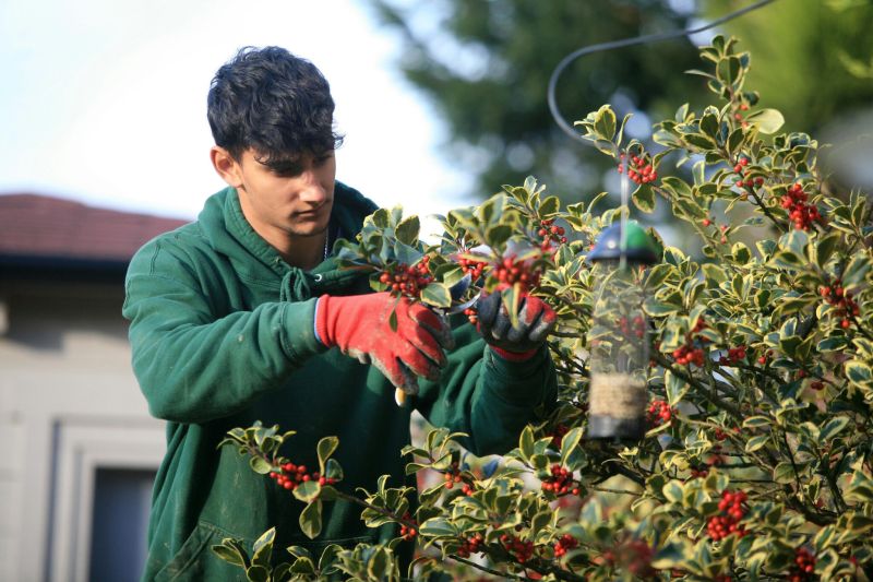 Apprenticeships Courses Reaseheath Business Hub - Best Colorful Pictures in Mobile