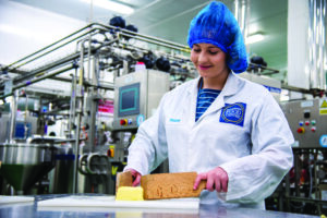 Food Centre Professional Training Reaseheath Business Hub - Ocean Illustrations - High Quality High Resolution Collection