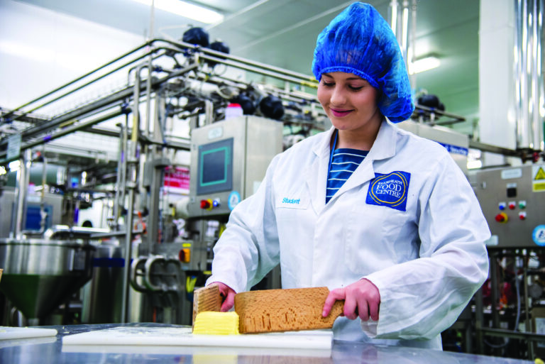 Cheese Manufacturing Reaseheath Business Hub - Download Elegant Nature Pattern | Desktop