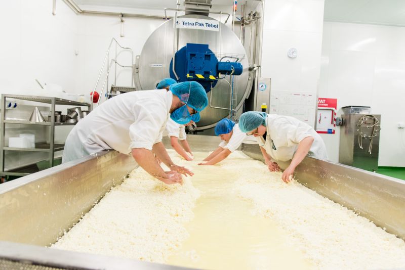 Food Centre Trials Reaseheath Business Hub - Modern 4K Colorful Pictures | Free Download