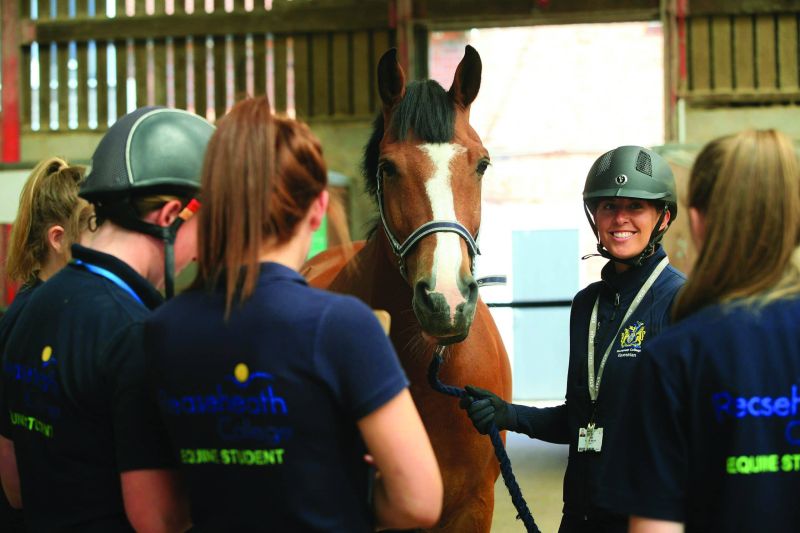 Hnd In Animal Management Equine Management Reaseheath Zoo - Download Gorgeous Space Background | High Resolution