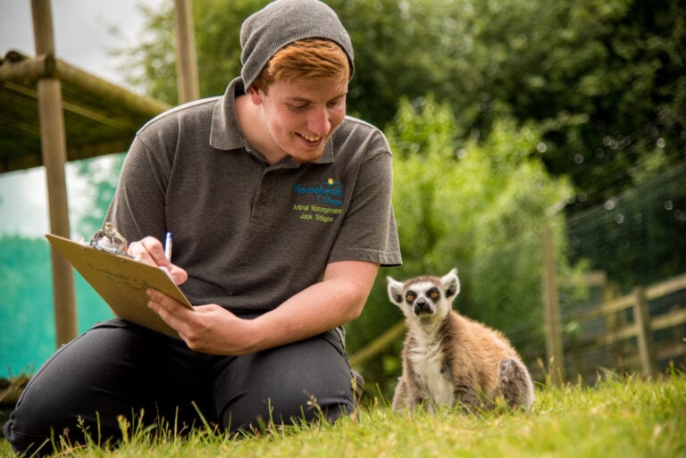 Plan Your Visit Reaseheath Zoo - Download High Quality Nature Image | Mobile