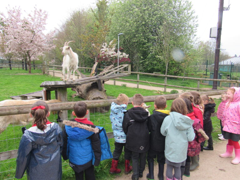 Discover And Explore Reaseheath Zoo - High Quality Space Design - Desktop