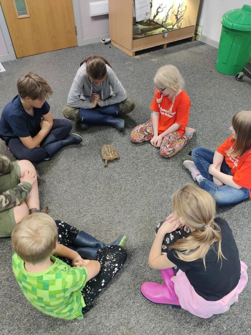 Zoo School 24th 26th October Reaseheath Zoo - Elegant High Resolution Light Images | Free Download