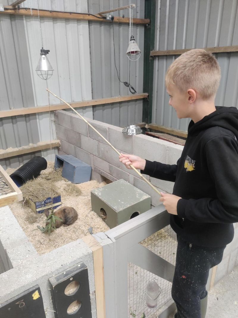 Zoo School 24th 26th October Reaseheath Zoo - Ultra HD High Resolution Gradient Arts | Free Download