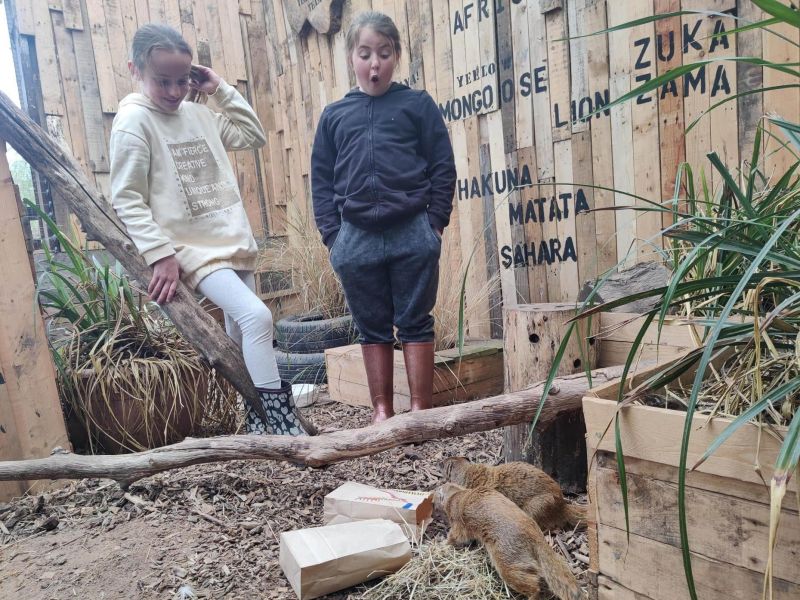 Reaseheath Mini Zoo Reaseheath Zoo - Ultra HD Vintage Textures for Desktop