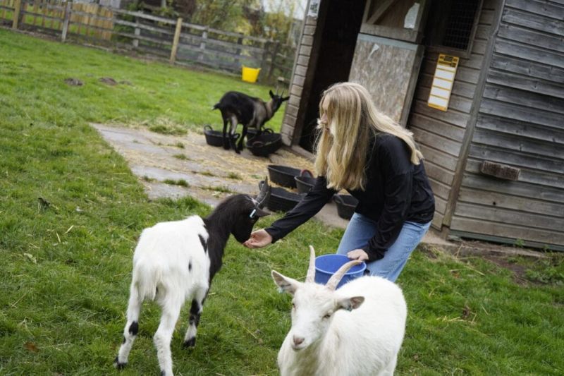 Our Animals Reaseheath Zoo - Space Illustration Collection - 8K Quality